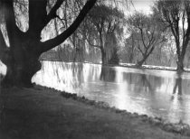 O'Sullivan pond, 1944 Valley Ave